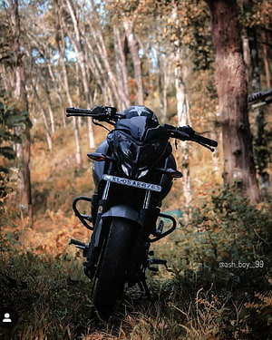 Black Bajaj Pulsar NS200 Motorcycle Parked in Autumn Forest HD phone wallpaper