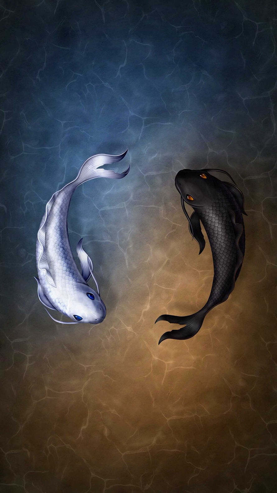 Black and White Koi Fish Swimming in a Yin Yang Composition HD phone wallpaper
