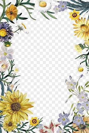 Watercolor Floral Border With Sunflowers And Daisies On Transparent Background HD phone wallpaper