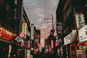 Vibrant Korean Street Scene at Dusk with Neon Signs and Crowds HD wallpaper