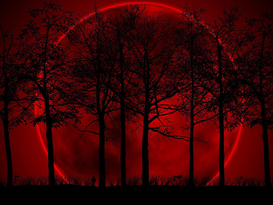 Eerie Silhouetted Trees Against a Glowing Red Eclipse Sky HD wallpaper