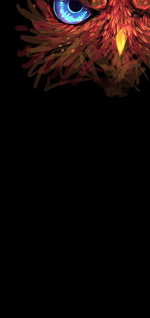 Mystical Phoenix With Glowing Blue Eye And Fiery Red Feathers On Black Background HD phone wallpaper