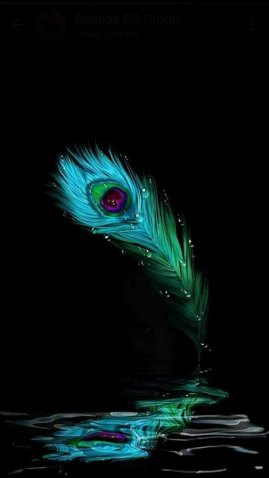 Vibrant peacock feather with water droplets floating on dark water surface HD phone wallpaper