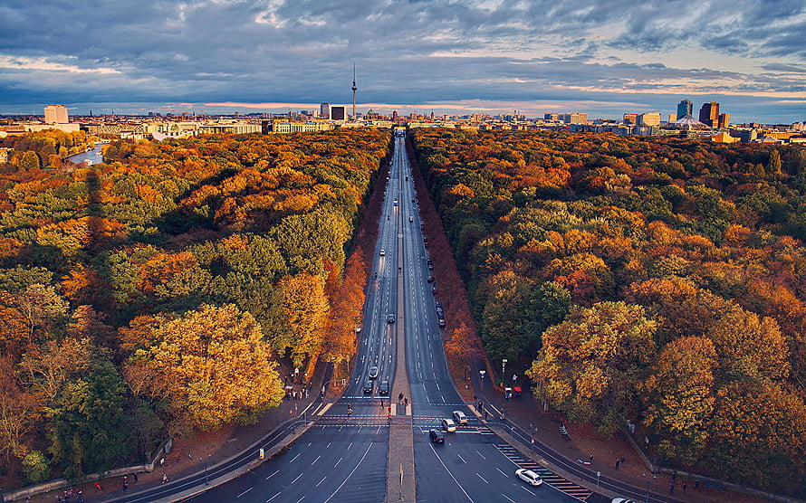 Aerial View of Berlin's Grunewald Forest and City Skyline in Autumn HD wallpaper