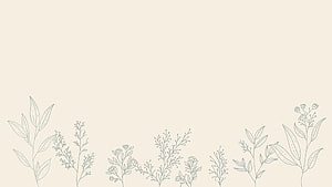 Minimalist Botanical Line Art Wallpaper with Delicate Floral Sketches HD wallpaper