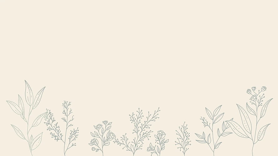 Minimalist Botanical Line Art Wallpaper with Delicate Floral Sketches HD wallpaper