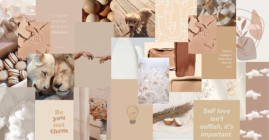 Beige Aesthetic Mood Board Collage With Inspirational Quotes, Animals, And Abstract Textures HD wallpaper