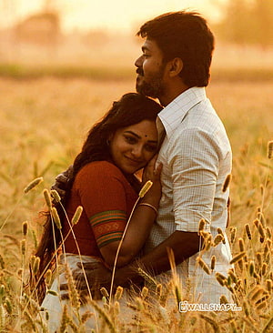 Vijay and Nithya Menon Embracing in a Golden Wheat Field at Sunset HD phone wallpaper