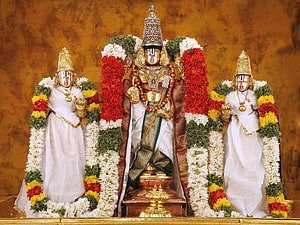 Sri Venkateswara Swamy Temple Deities Adorned in Traditional Garlands and Gold Ornamentation HD wallpaper