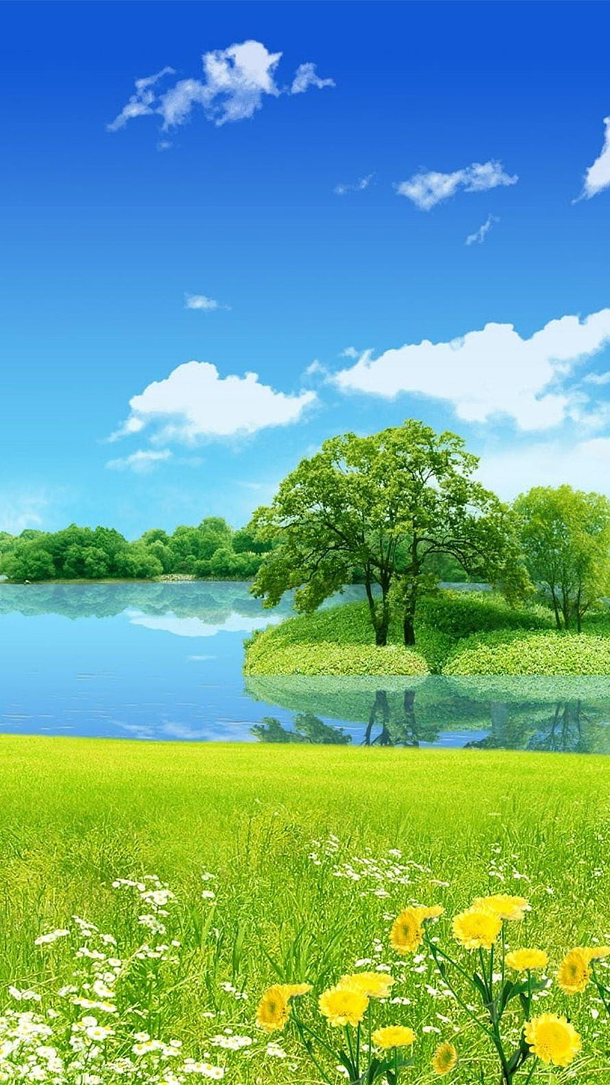 Serene Summer Lake Landscape with Lush Green Meadow and Yellow Wildflowers HD phone wallpaper