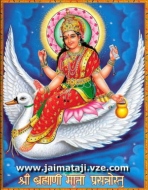 Brahmani Ma Devata Riding White Swan with Lotus Halo and Golden Pot HD phone wallpaper