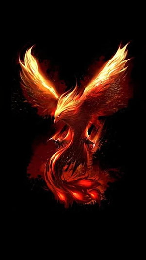 Fiery Phoenix Bird with Glowing Wings on Black Background HD phone wallpaper