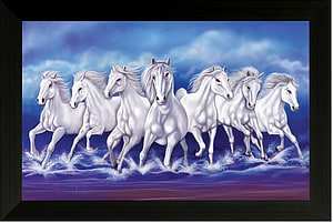 Seven White Horses Galloping Through Water Under a Blue Sky HD wallpaper