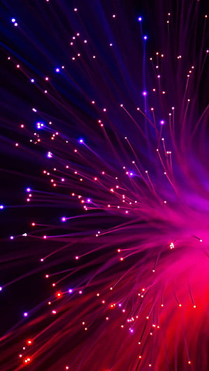 Vibrant Fiber Optic Light Burst in Neon Purple and Red Against a Dark Background HD phone wallpaper