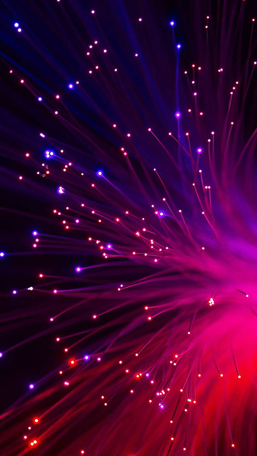 Vibrant Fiber Optic Light Burst in Neon Purple and Red Against a Dark Background HD phone wallpaper