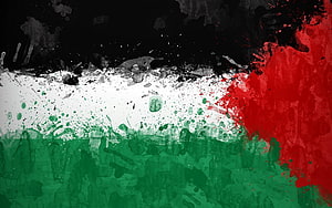 Grunge Palestine Flag with Black White Green and Red Paint Splatter Texture HD wallpaper