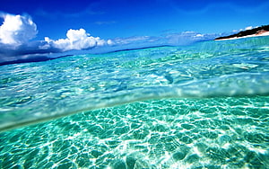 Crystal Clear Turquoise Ocean Water With Sandy Bottom And Blue Sky HD wallpaper