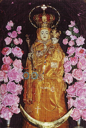 Our Lady of Good Health Velankanni Statue in Golden Vestments with Crown and Crescent Moon HD phone wallpaper
