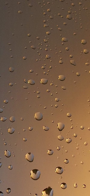 Golden Hour Raindrops on Glass Window Surface HD phone wallpaper