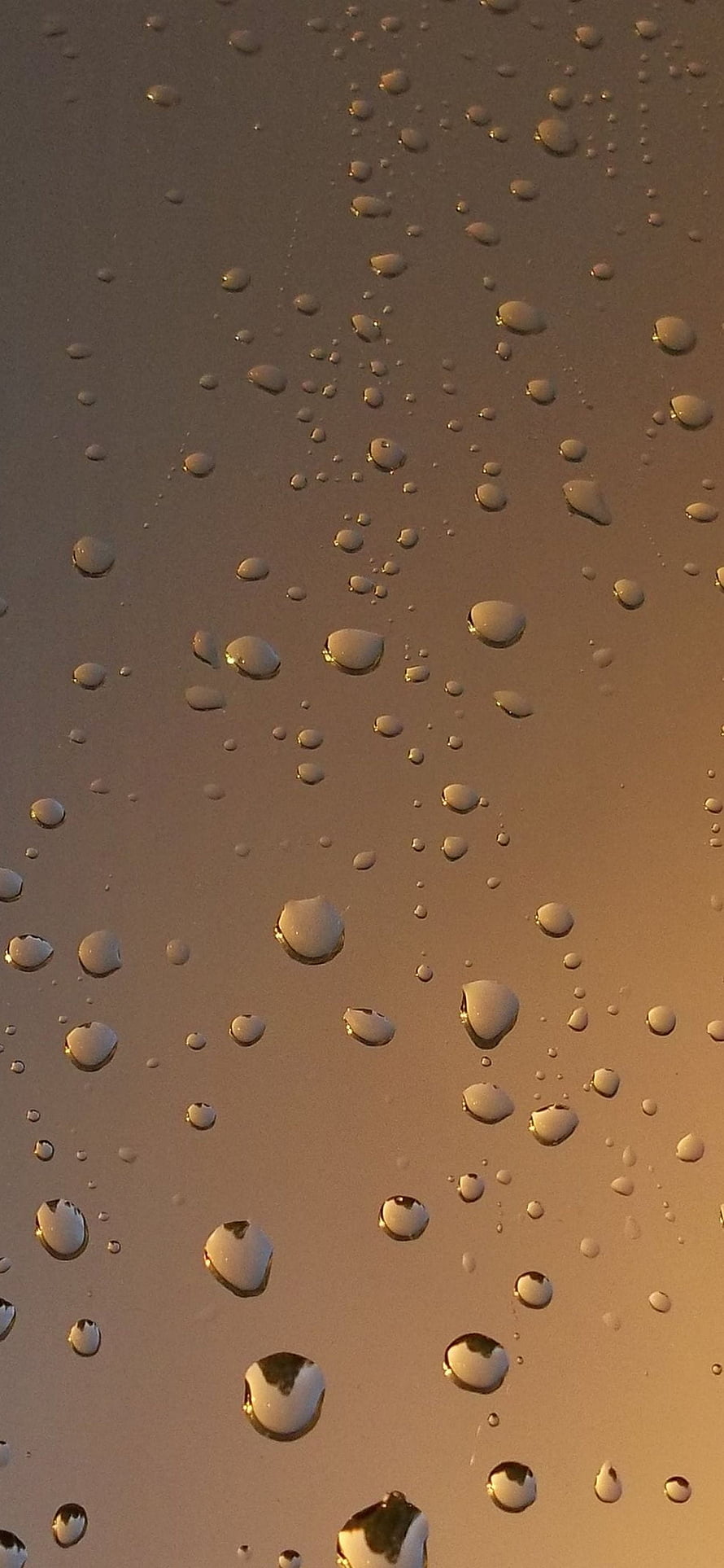 Golden Hour Raindrops on Glass Window Surface HD phone wallpaper
