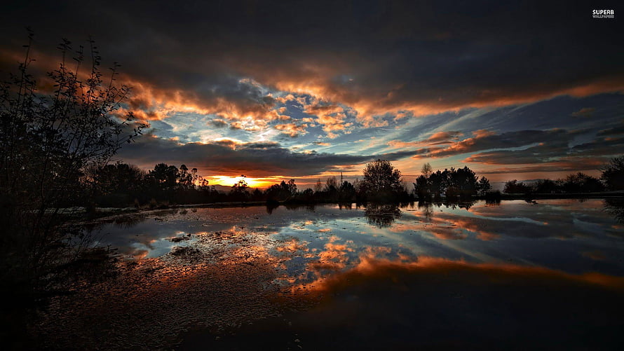 Dramatic Sunset Over Calm Lake With Cloud Reflections And Silhouetted Trees HD wallpaper