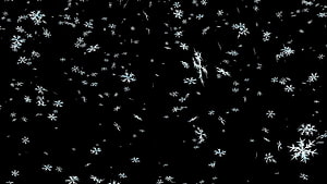 Detailed White Snowflakes Falling on Black Background Winter Texture HD wallpaper