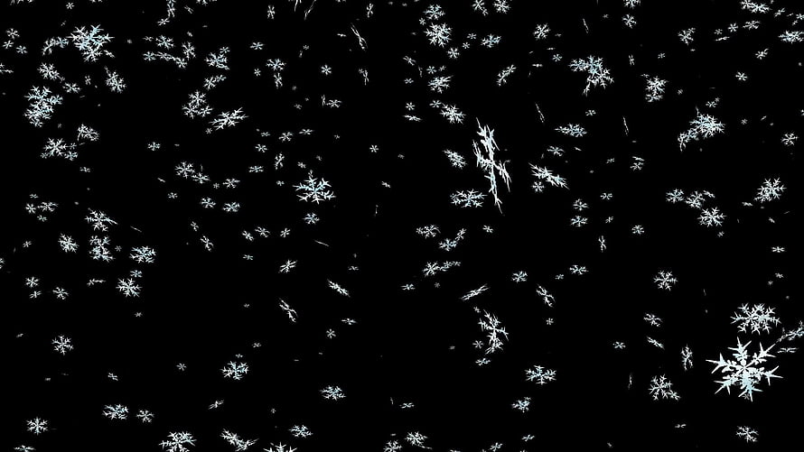 Detailed White Snowflakes Falling on Black Background Winter Texture HD wallpaper