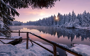 Serene Winter Lake at Sunrise with Snowy Pine Forest Reflection HD wallpaper