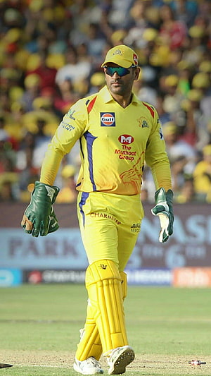 MS Dhoni Walking on Cricket Field in Chennai Super Kings Yellow Jersey HD phone wallpaper