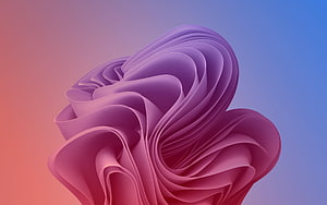 Windows 11 Default Wallpaper Abstract 3D Ribbon Sculpture in Purple and Pink HD wallpaper