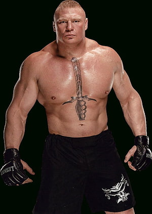Brock Lesnar UFC Fighter Portrait With Chest Sword Tattoo And Black Gloves HD phone wallpaper