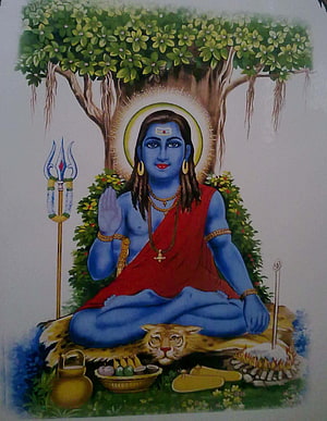 Blue-skinned Hindu deity Shiva sitting in meditation under a tree with trident and tiger skin HD phone wallpaper