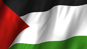 Palestine National Flag Waving in Wind with Black White Green Stripes and Red Triangle HD wallpaper