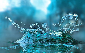 Dynamic Water Splash with Crystal Clear Droplets Against a Cool Blue Background HD wallpaper