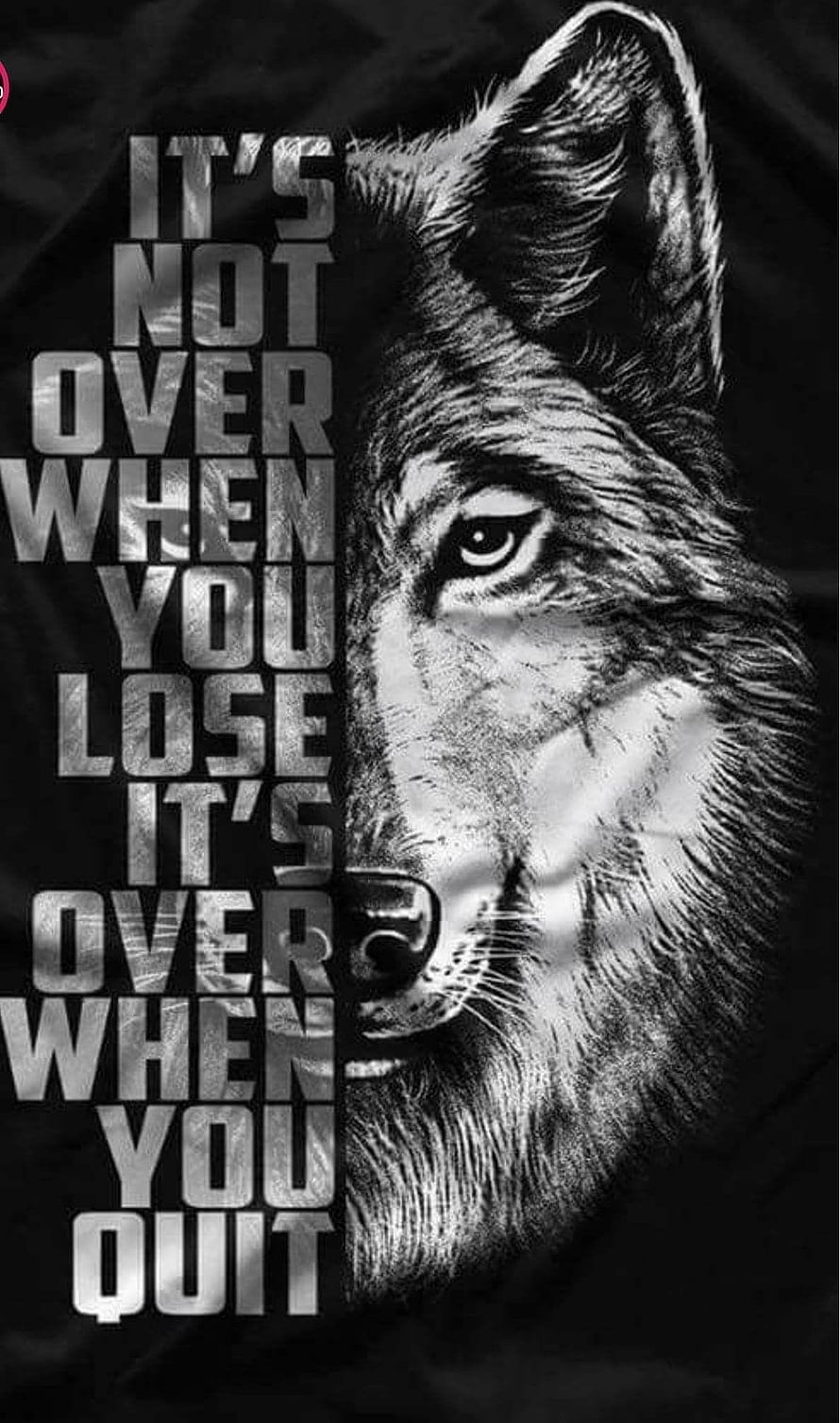 Black and White Wolf Portrait With Motivational Quote It's Not Over When You Lose HD phone wallpaper