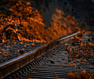 Autumn Train Tracks with Vibrant Orange Leaves and Rustic Wooden Sleepers HD wallpaper