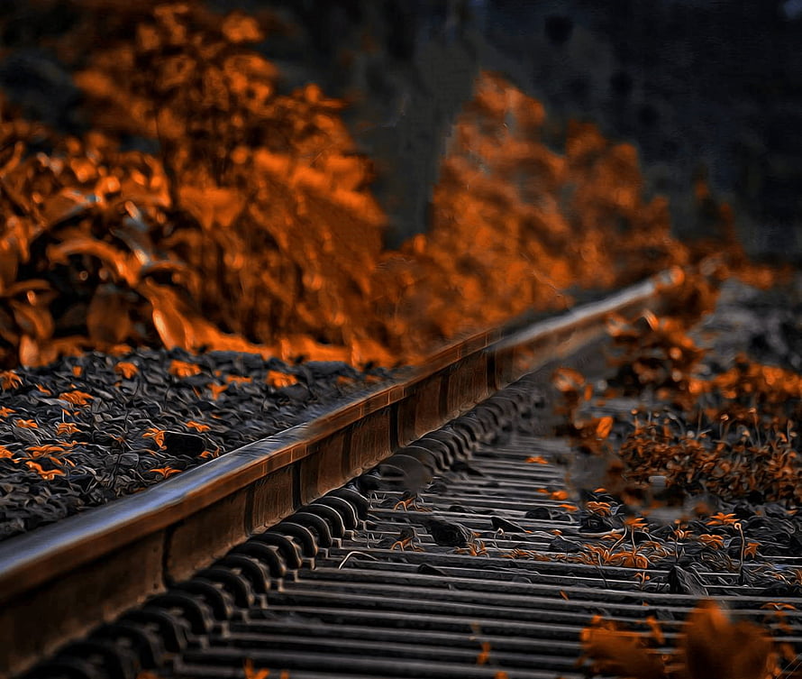 Autumn Train Tracks with Vibrant Orange Leaves and Rustic Wooden Sleepers HD wallpaper
