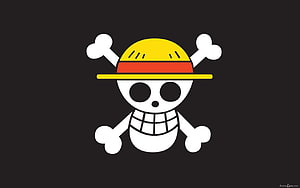 Trafalgar Law Heart Pirates Jolly Roger Flag from One Piece HD wallpaper