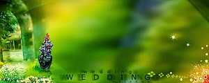 Green Wedding Floral Banner With Sparkles And Garden Archway HD wallpaper