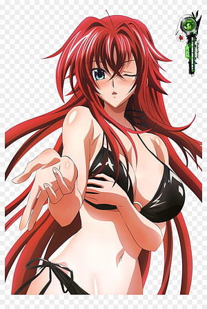 Rias Gremory Anime Character in Black Bikini with Long Red Hair and Winking Expression HD phone wallpaper