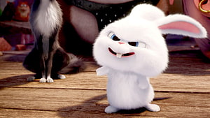 Snowball the White Rabbit from The Secret Life of Pets with a Smug Expression HD wallpaper