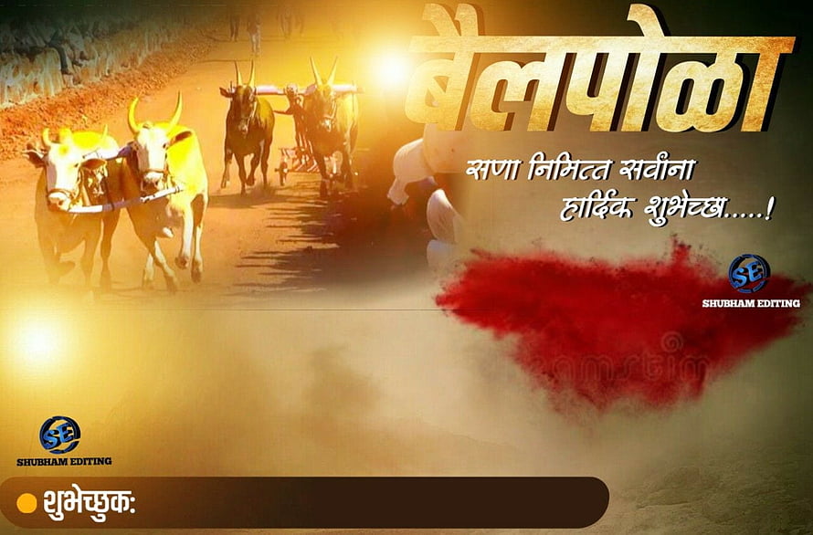 Bail Pola Festival Greeting Card With Oxen Plowing Field And Red Powder HD wallpaper