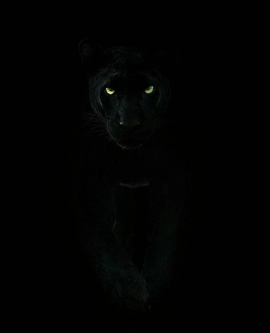 Mysterious Black Panther With Glowing Green Eyes In Dark Shadows HD phone wallpaper