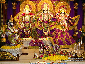 Gaura Nitai and Radha Krishna Deities in Purple and Gold Temple Altar HD wallpaper
