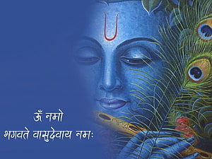 Serene Blue Krishna Portrait with Peacock Feather and Flute HD wallpaper