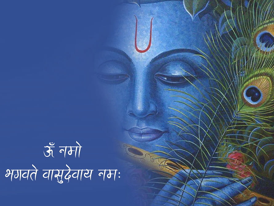 Serene Blue Krishna Portrait with Peacock Feather and Flute HD wallpaper