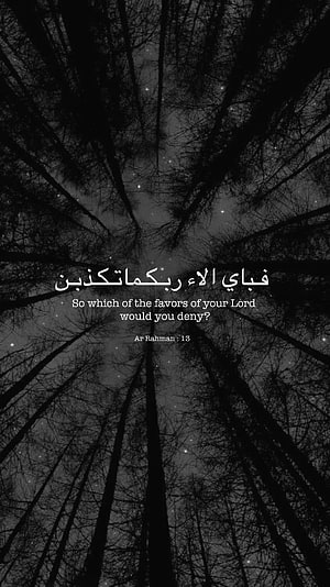 Black and white forest silhouette looking up at starry night sky with Quran verse Ar Rahman 13, Ar Rahman Islam Tumblr Allah Night Sky Quotes Alquran, islamic HD phone wallpaper