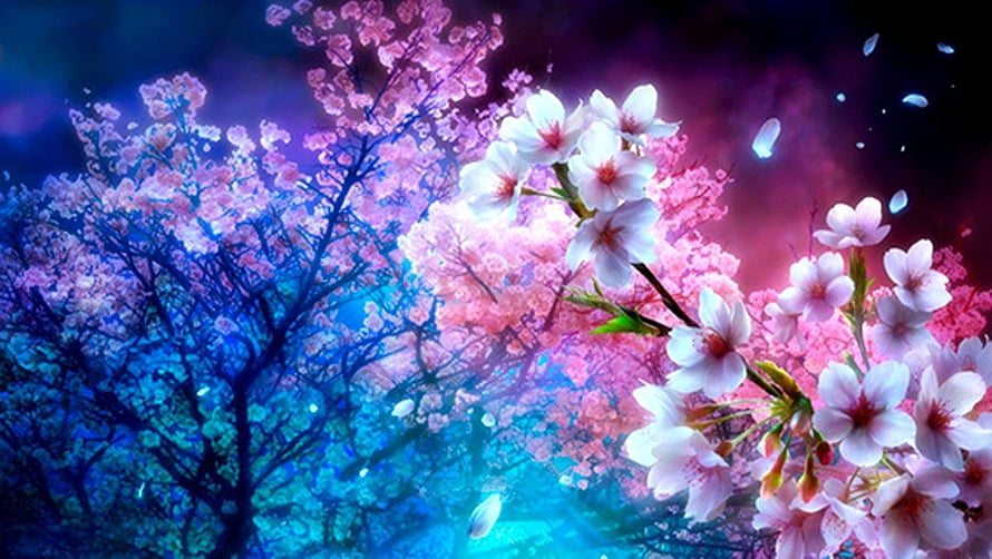 Vibrant Cherry Blossom Branches Against a Neon Blue and Pink Gradient Sky HD wallpaper