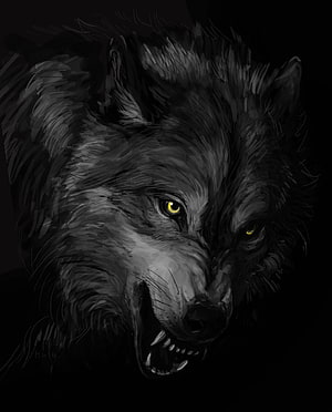 Fierce Black Wolf Portrait with Glowing Yellow Eyes and Bared Teeth HD phone wallpaper