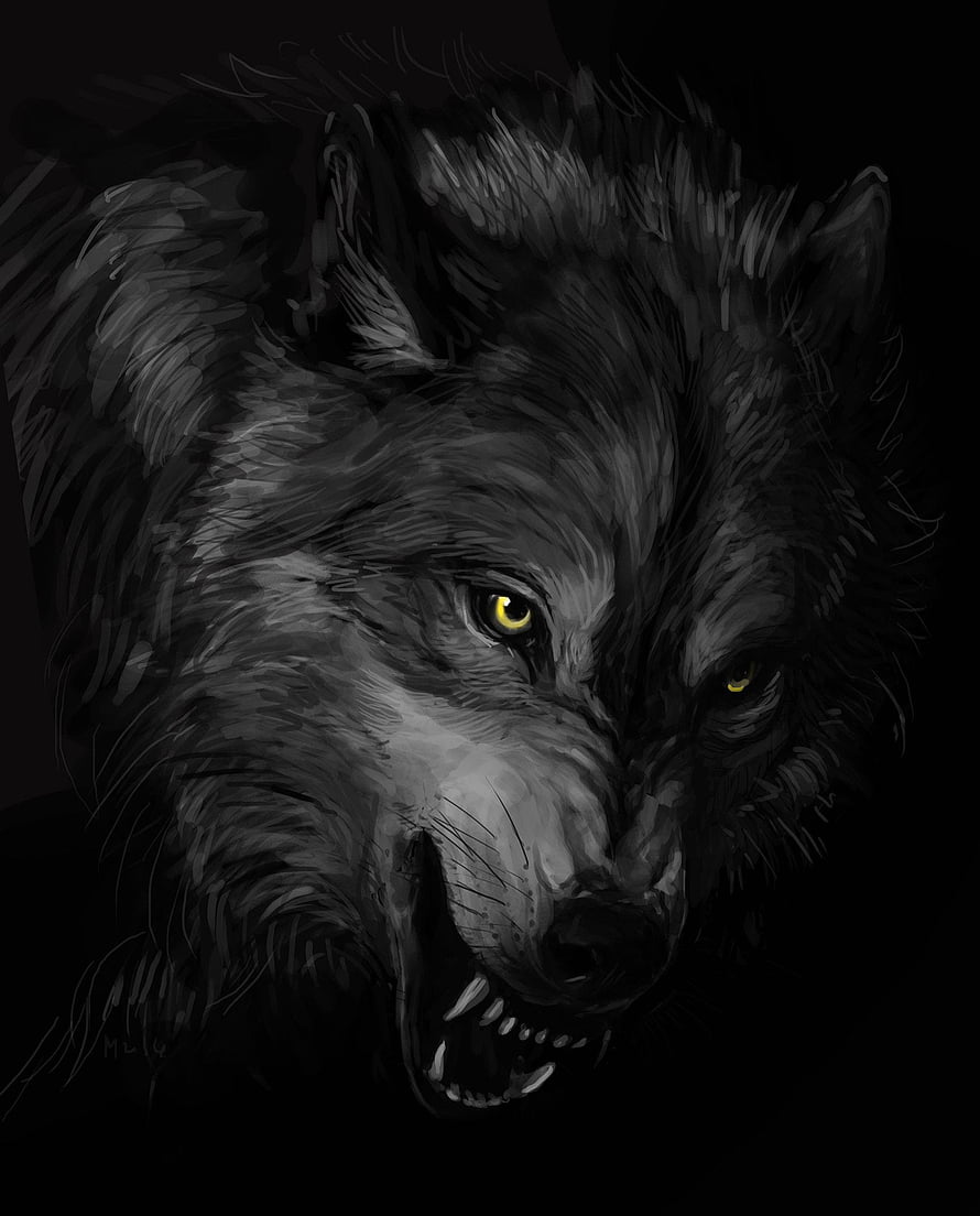 Fierce Black Wolf Portrait with Glowing Yellow Eyes and Bared Teeth HD phone wallpaper